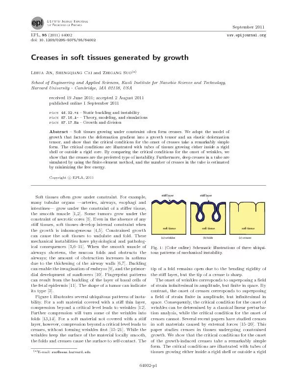 Creases in soft tissues generated by growth