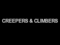 CREEPERS & CLIMBERS