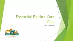 Essential Equine Care Plan