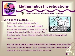 Mathematics Investigations