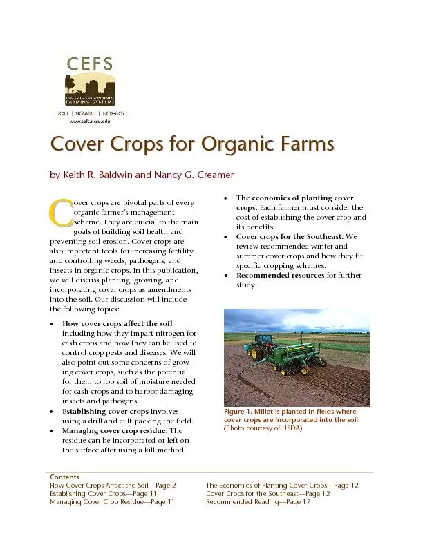 Cover crops for organic farms