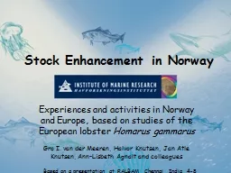 Experiences and activities in Norway and Europe, based on s