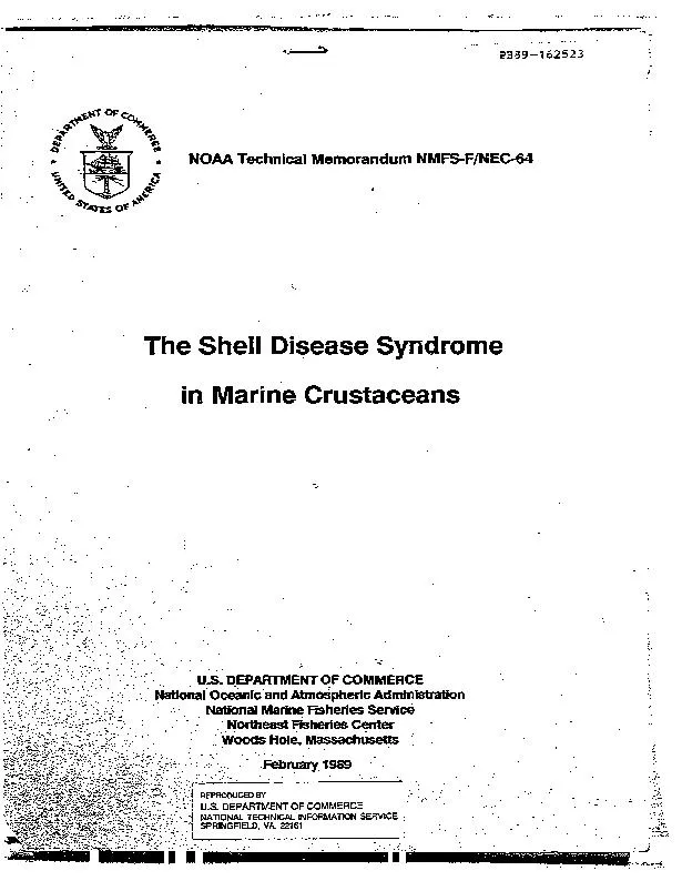 The shell disease syndrome in marine crustaceans
