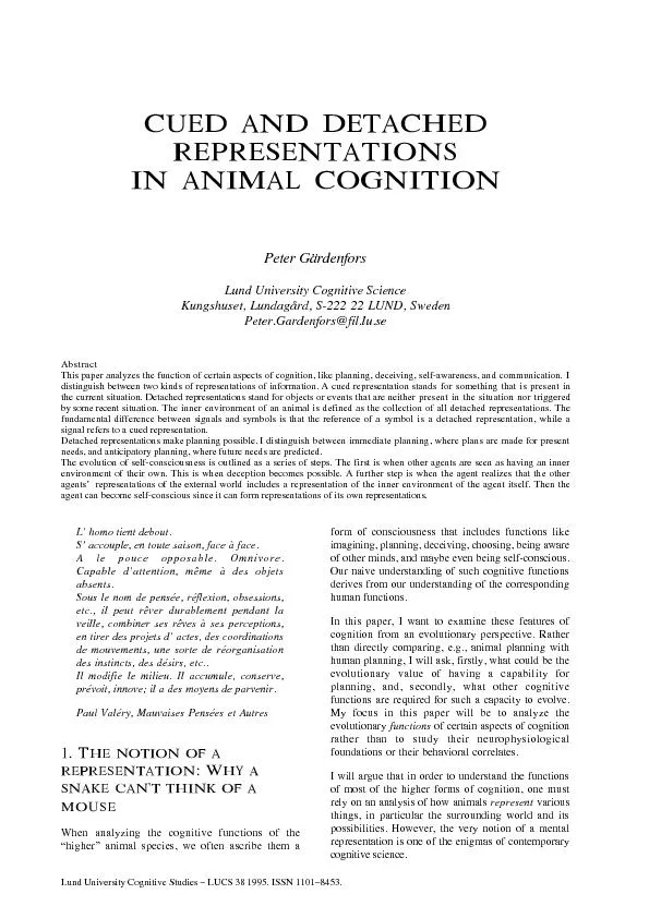 Cued and detached representations in animal cognition