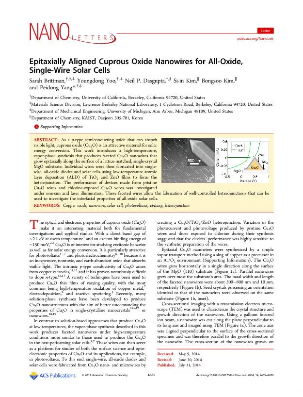 Epitaxially Aligned Cuprous Oxide Nanowires for All Oxide Single Wire  solar cells