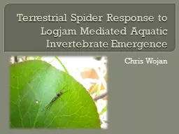Terrestrial Spider Response to Logjam Mediated Aquatic Inve