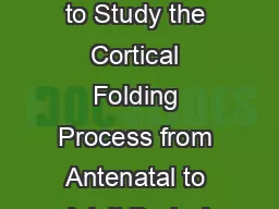 AMeanCurvatureBasedPrimalSketch to Study the Cortical Folding Process from Antenatal to