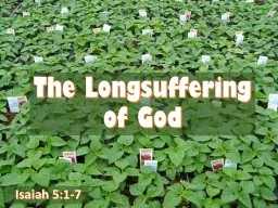 The Longsuffering of God