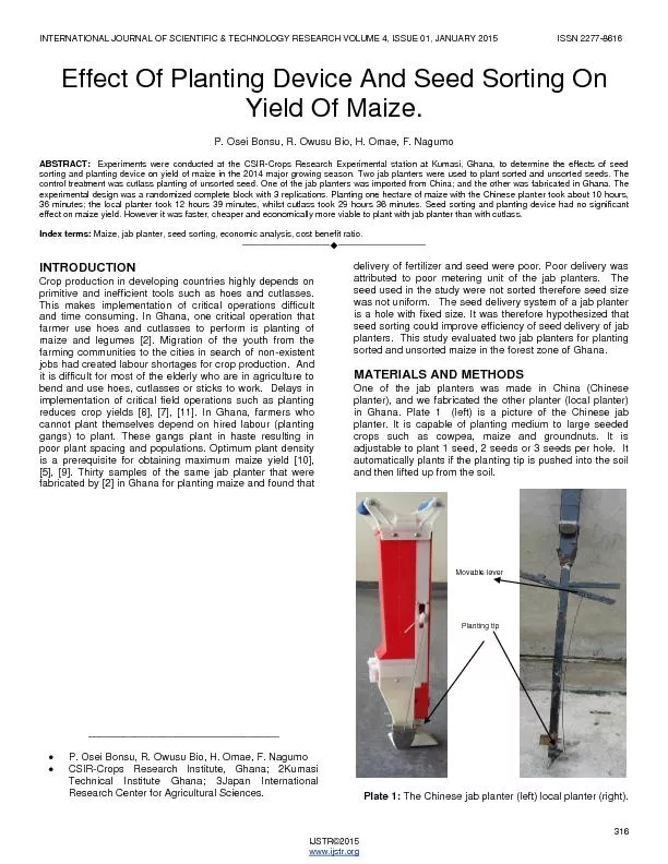 Effect of planting device and seed sorting on yield of maize