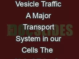 Scientific Background Machinery Regulating Vesicle Traffic A Major Transport System in