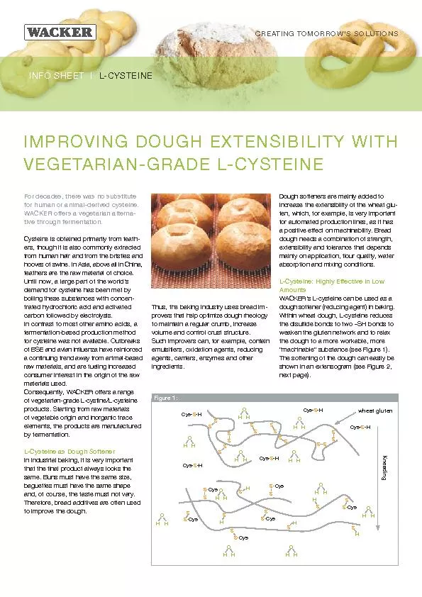 IMPROVING DOUGH EXTEN SIBILITY WITH VEGETARIAN-GRADE L-CYSTEINE