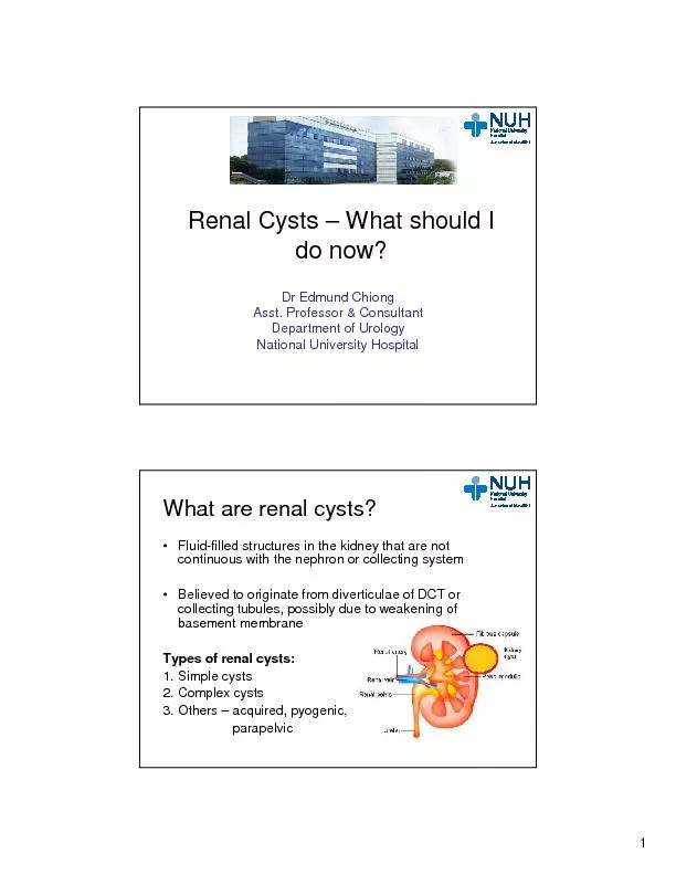 What are Renal Cysts