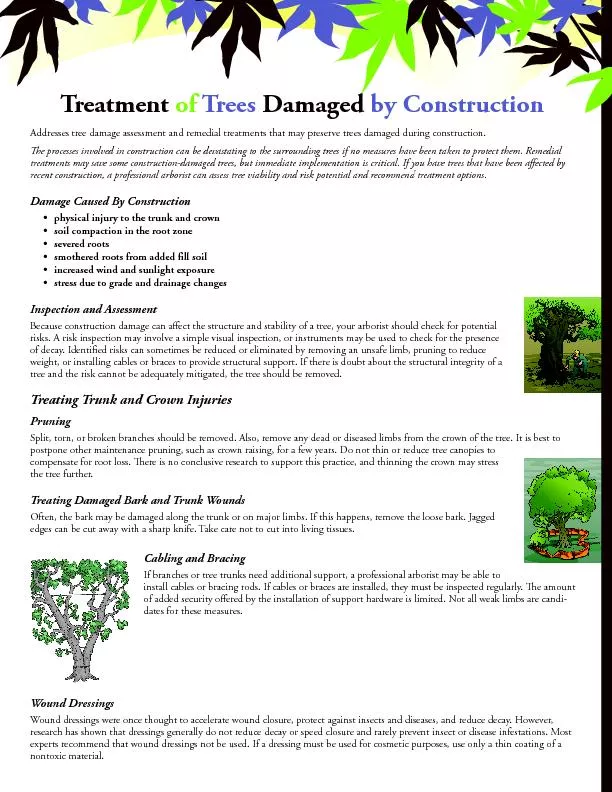 Treatment of trees damaged by construction