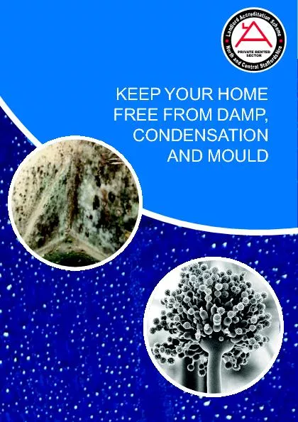 Keep your home free from damp condensation and mould