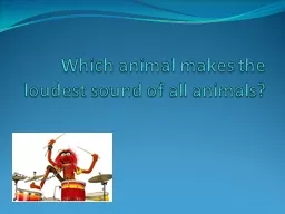 Which animal makes the loudest sound of all animals?