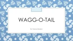 Wagg-O-Tail