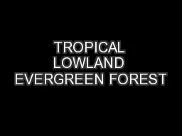 TROPICAL LOWLAND EVERGREEN FOREST