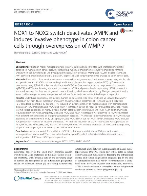 RegulationofhumanMMP-7geneexpressionisdepen-