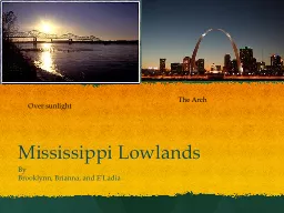 Mississippi Lowlands
