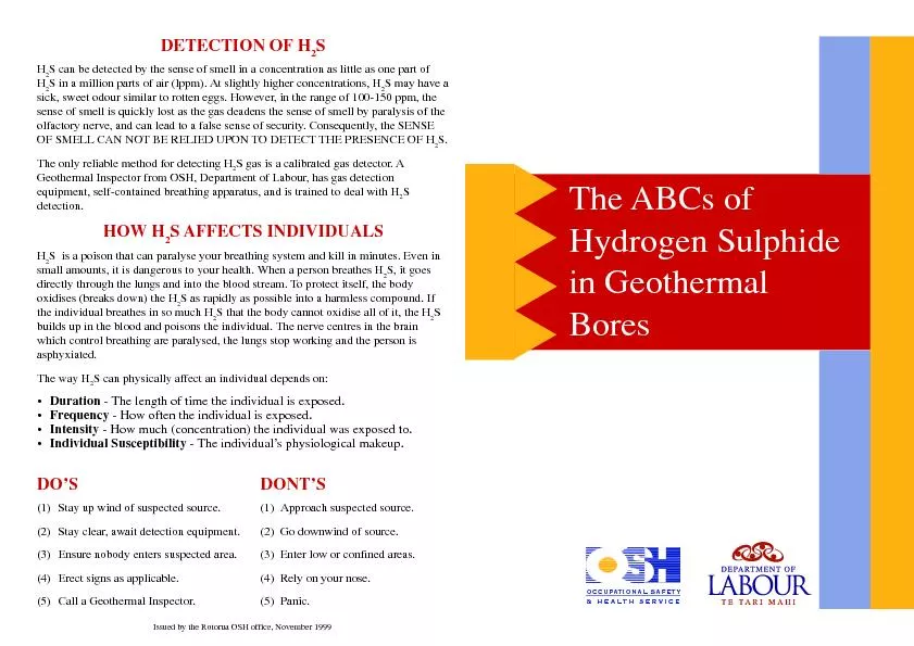The ABCs of hydrogen sulphide in geothermal bores