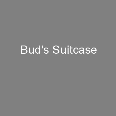 Bud's Suitcase