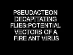 PSEUDACTEON DECAPITATING FLIES:POTENTIAL VECTORS OF A FIRE ANT VIRUS