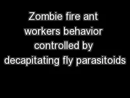 Zombie fire ant workers behavior controlled by decapitating fly parasitoids