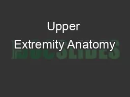 Upper Extremity Anatomy