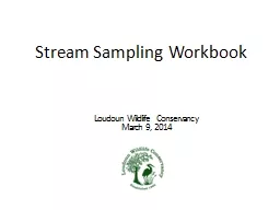 Stream Sampling Workbook