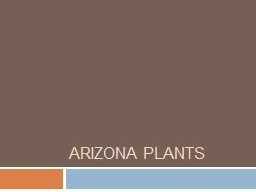 Arizona Plants