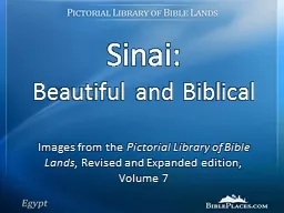 Sinai: