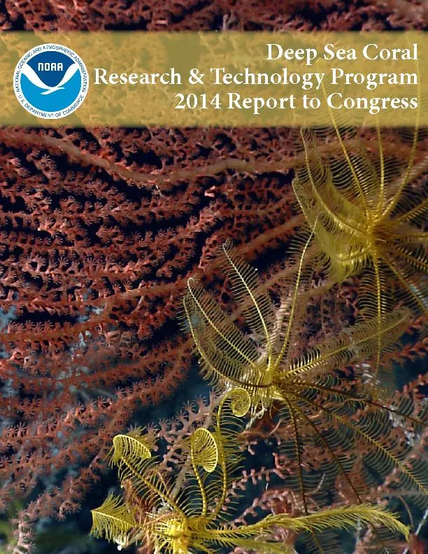 Deep Sea Coral research and technology program 2014 report to congress