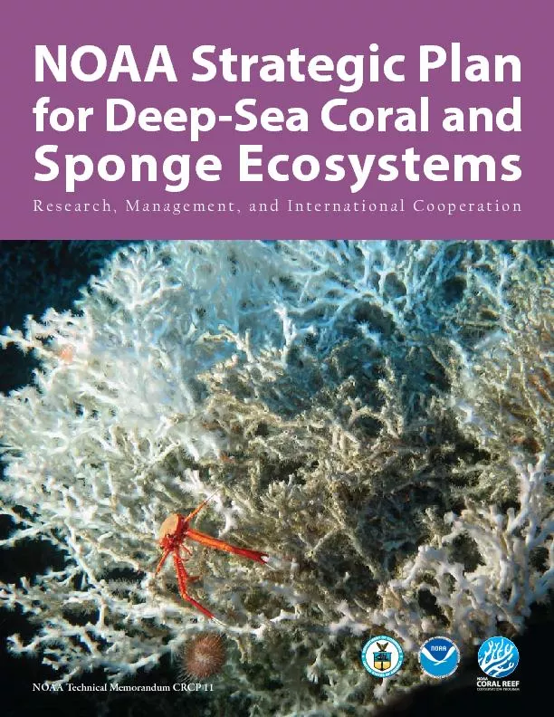 CITATION:National Oceanic and Atmospheric Administration, Coral Reef C