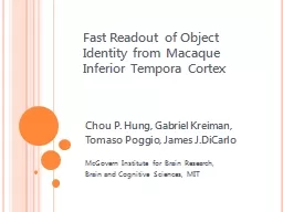 Fast Readout of Object Identity from Macaque Inferior Tempo