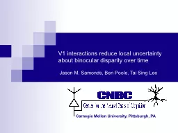 V1 interactions reduce local uncertainty about binocular di
