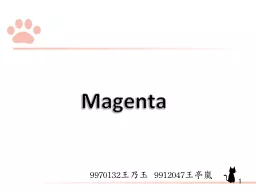 1 Magenta