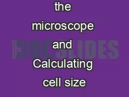 1.1  Intro to the microscope and Calculating cell size