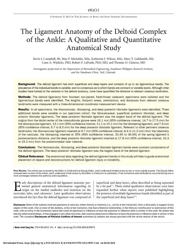 A qualitative and quantitative anatomical study