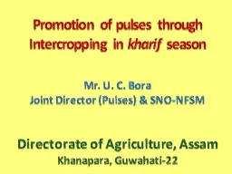 Promotion of pulses through Intercropping in