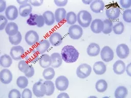 Malaria – Heartless Killer