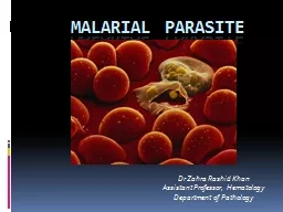 Malarial parasite