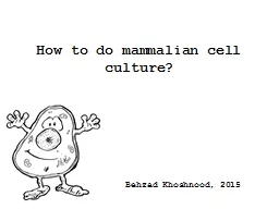How to do mammalian cell culture?