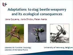 Adaptations to stag beetle weaponry