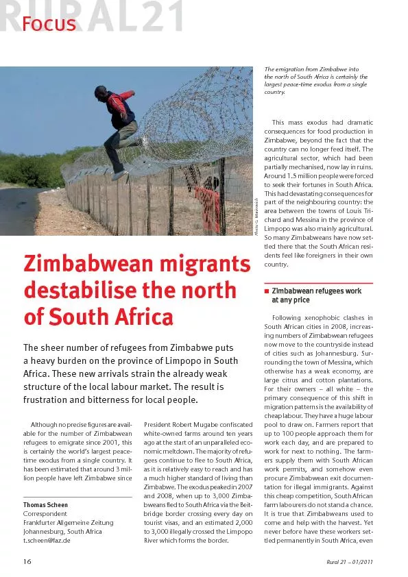 Zimbabwean migrants destabilise the north of South Africa