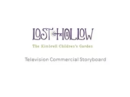 Television Commercial Storyboard