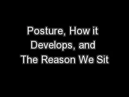 Posture, How it Develops, and The Reason We Sit