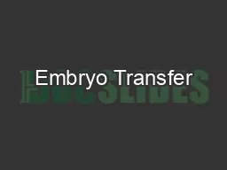 Embryo Transfer