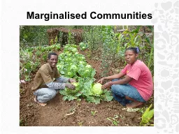 Marginalised Communities