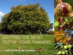 Getting the most out of your training