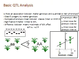 Basic QTL Analysis